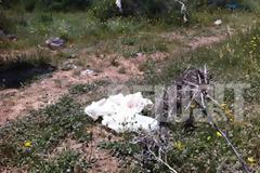Στυγερή δολοφονία στο Μενίδι - 28χρονος πρώτα παρέσυρε πεζό Αλβανό και μετά επέστρεψε και εκτέλεσε φίλο του τραυματία