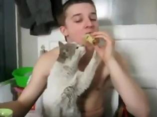 Φωτογραφία για VIDEO: Γάτα ικετεύει το αφεντικό της για μια μπουκιά!