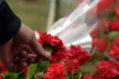 ΕΣΕΕ: Υποχρεωτική η αργία της Πρωτομαγιάς στο εμπόριο