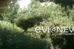 Συγκλονίζει η αυτοκτονία 40χρονου [video]
