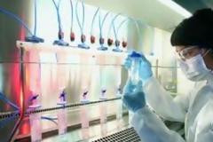 Πρωτεΐνες ένοχες για τη νόσο των τρελών αγελάδων