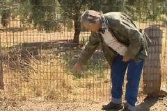 Συνεχίζονται οι διαρρήξεις στην Ανατολική Φθιώτιδα [video]