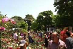 Περισσότεροι από 25.000 επισκέπτες την Πρωτομαγιά στην Ανθοκομική Έκθεση Κηφισιάς