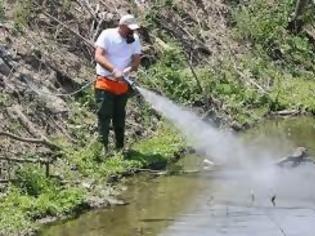 Φωτογραφία για Μείωση 50% στο πληθυσμό προνυμφών κουνουπιών στο Δήμο Πεντέλης