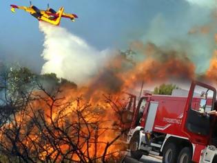 Φωτογραφία για Έβαζε φωτιές για να βλέπει τους πυροσβέστες να τρέχουν!