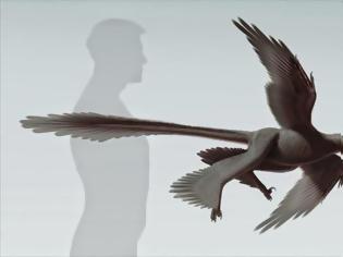 Φωτογραφία για Ανακαλύφθηκε νέο είδος φτερωτού δεινόσαυρου στην Κίνα