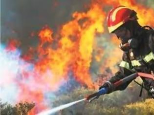 Φωτογραφία για Διορίζονται 500 δόκιμοι πυροσβέστες