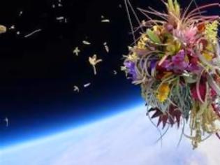 Φωτογραφία για Μπονζάι και λουλούδια εκτοξεύονται στο Διάστημα ως τέχνη