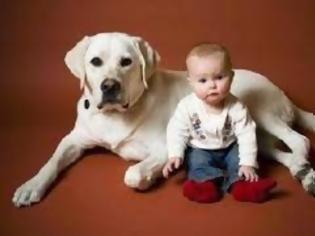 Φωτογραφία για Οι σκύλοι ζηυλεύουν όπως ακριβώς και τα μωρά!