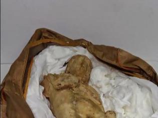 Φωτογραφία για Αστυνομικός σε σπείρα αρχαιοκαπηλίας. Στα χέρια του κυκλώματος βρέθηκε σπάνιο άγαλμα αξίας 1 εκατ. ευρώ
