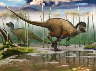 Φωτογραφία για Μήπως τελικά οι δεινόσαυροι ήταν… πτερόσαυροι;