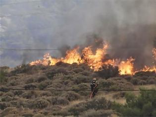 Φωτογραφία για Πάτρα: Πυρκαγιά κοντά στο έλος της Αγυιάς