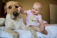 Δείτε τι κάνει ο σκύλος όταν το μωρό αρχίζει να κλαίει ... [video]