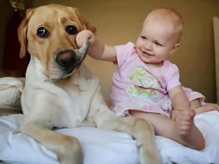 Φωτογραφία για Δείτε τι κάνει ο σκύλος όταν το μωρό αρχίζει να κλαίει ... [video]