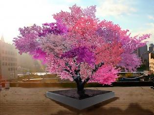 Φωτογραφία για Παράξενο δέντρο παράγει 40 διαφορετικά φρούτα! [photos]