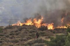 Πάτρα: Πυρκαγιά στο έλος της Αγυιάς - Πως προκλήθηκε