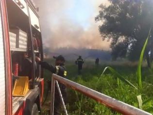 Φωτογραφία για Πάτρα: Από ρευματοκλοπή προκλήθηκε η πυρκαγιά στο έλος της Αγυιάς;