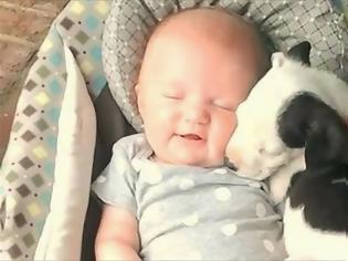 Φωτογραφία για Ένα μωρό κι ένα κουτάβι είναι οι καλύτεροι φίλοι του κόσμου [video]