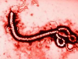 Φωτογραφία για West Africa: What are US Biological Warfare Researchers Doing in the Ebola Zone?