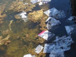 Φωτογραφία για Αιτωλικό: Γέμισε η θάλασσα από σκουπίδια της λαϊκής