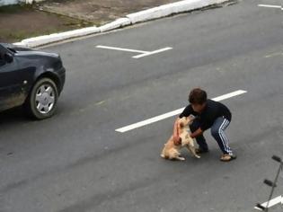 Φωτογραφία για Γυναίκα σώζει τραυματισμένο σκύλο σε εθνική οδό! ΔΕΙΤΕ ΤΟ ΒΙΝΤΕΟ!