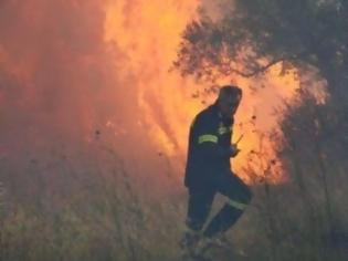 Φωτογραφία για Συνεργασία Π.Υ. με τη ΣΕΤΤΗΛ για την Αντιπυρική Περίοδο