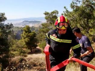 Φωτογραφία για Δυτική Αχαΐα: Φωτιά στο Μύρτο