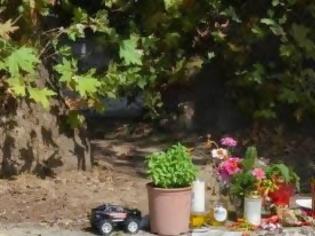 Φωτογραφία για Αυτοψία από ειδικούς στα πλατάνια των Κομποτάδων Λαμίας, που χάθηκε ο μικρός Μπάμπης - Τι είπε ο καθηγητής του ΕΘΙΑΓΕ [video]
