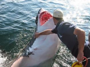 Φωτογραφία για Δες τι έπαθε αυτός ο κύριος, όταν πήγε να ΧΑΪΔΕΨΕΙ καρχαρία! [video]