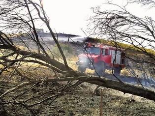 Φωτογραφία για Πάτρα: Δύο στρέμματα έκαψε η φωτιά στα Συχαινά - Παραμένουν πυροσβεστικές δυνάμεις στο σημείο