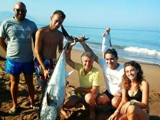 Φωτογραφία για Ηλεία: Ξαναχτύπησαν οι ψαράδες του ξιφία 100 κιλών - Ψάρεψαν Τόνο βάρους 70 κιλών