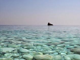 Φωτογραφία για Ποιος είναι ο διατροφικός θησαυρός της θάλασσας που εμείς αγνοούμε όταν τον βλέπουμε!