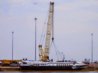 Φωτογραφία για Το δελφίνι «βγήκε» από το λιμάνι της Αλεξανδρούπολης… [photos]
