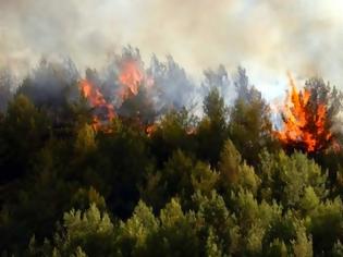 Φωτογραφία για Στο «κόκκινο» σήμερα η χώρα: Σε ποιες περιοχές υπάρχει υψηλός κίνδυνος πυρκαγιάς