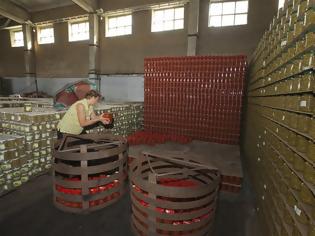 Φωτογραφία για Κομισιόν: Πακέτο €125 εκατ. για τους παραγωγούς που πλήττει το εμπάργκο