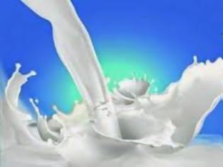Φωτογραφία για Ξεκινά η λειτουργία της ΑΜΦΙΓΑΛ - Προνομιακές τιμές στο γάλα για κτηνοτρόφους