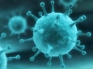 Φωτογραφία για Πέντε ιοί πιο τρομακτικοί από τον Έμπολα