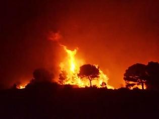 Φωτογραφία για Αχαΐα-Τώρα: Πυρκαγιά στο Μουρίκι Καλαβρύτων – Ολονύχτια αναμένεται η μάχη με τις φλόγες – Υπό μερικό έλεγχο το μέτωπο στη Ναύπακτο