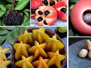 Φωτογραφία για 10 εξωτικά φρούτα που σκοτώνουν...[photos]