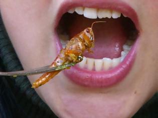 Φωτογραφία για Μπορεί να αντιμετωπιστεί η παγκόσμια πείνα με την κατανάλωση εντόμων;