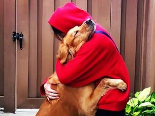 Φωτογραφία για Δείτε τις πραγματικά συγκινητικές φωτογραφίες σκύλων που αγκαλιάζουν τον άνθρωπο τους... [photos]