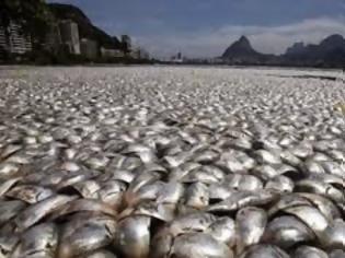 Φωτογραφία για 48 τόνοι ψαριών βρέθηκαν νεκρά σε λίμνη στο Μεξικό