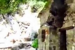 Διαβάστε και δείτε βίντεο για το ανεξήγητο φαινόμενο με τα δένδρα στη σκεπή της Αγίας Θεοδώρας Βάστα!