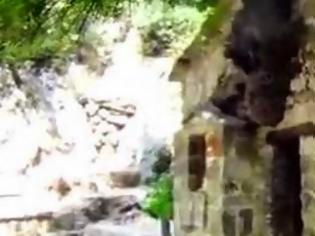 Φωτογραφία για Διαβάστε και δείτε βίντεο για το ανεξήγητο φαινόμενο με τα δένδρα στη σκεπή της Αγίας Θεοδώρας Βάστα!