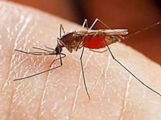 Φωτογραφία για Γιατί τα κουνούπια προτιμούν συγκεκριμένους ανθρώπους