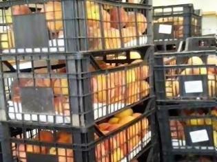 Φωτογραφία για Δήμος Θηβαίων: 3,5 τόνοι ροδάκινα Νάουσας στους δικαιούχους του Κοινωνικού Παντοπωλείου