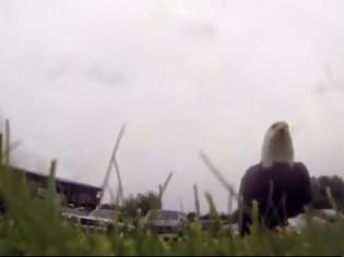 Φωτογραφία για Ο αετός... βούτηξε την κάμερα! Δείτε το απίστευτο βίντεο...[video]