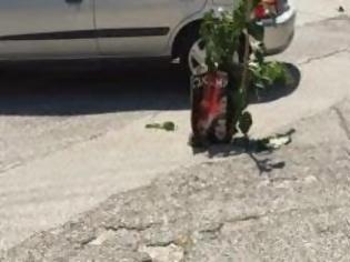 Φωτογραφία για Φύτεψαν δέντρο σε τρύπα δρόμου της Λαμίας για να μη πέφτουν μέσα [photos]