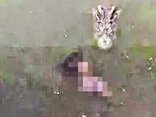 Φωτογραφία για Φρικτή αυτοκτονία: Έπεσε σε λίμνη γεμάτη με κροκόδειλους (pics)