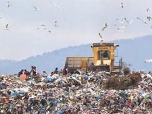 Φωτογραφία για Διαχωρισμός σκουπιδιών από τον ΧΥΤΑ Πολυγύρου